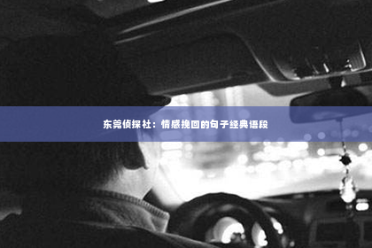 东莞侦探社：情感挽回的句子经典语段