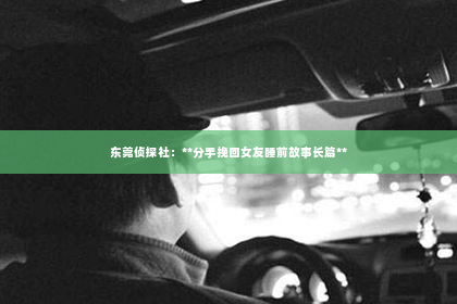 东莞侦探社：**分手挽回女友睡前故事长篇**