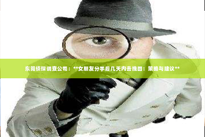 东莞侦探调查公司：**女朋友分手后几天内去挽回：策略与建议**