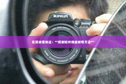 东莞调查取证：**成都如何挽回爱情方法**