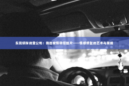 东莞侦探调查公司：挽回爱情微信图片——情感修复的艺术与策略
