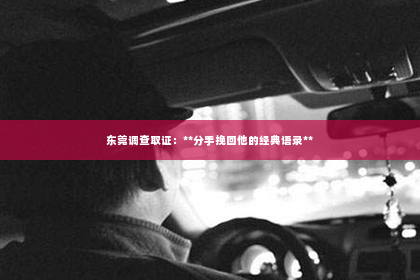 东莞调查取证：**分手挽回他的经典语录**