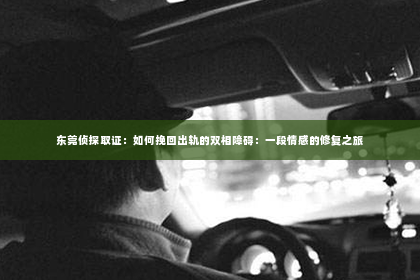 东莞侦探取证：如何挽回出轨的双相障碍：一段情感的修复之旅
